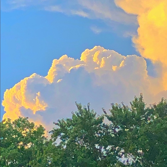 Meet your Posher, Lilly - Picture 1 of 1